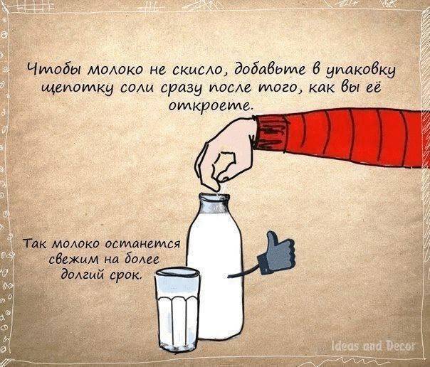 Техника подводной охоты: описание, особенности, советы опытных охотников - truehunter.ru