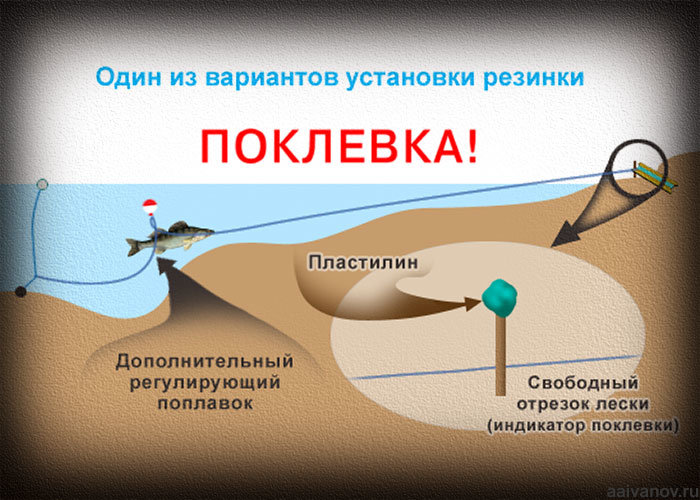 Донная снасть резинка своими руками. ловля на резинку