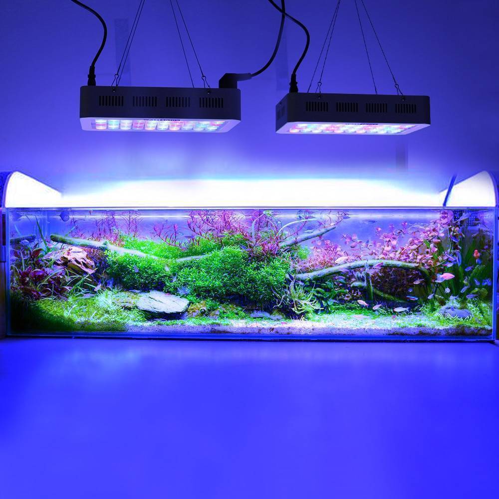Освещение аквариума своими руками: мощность ламп, их тип