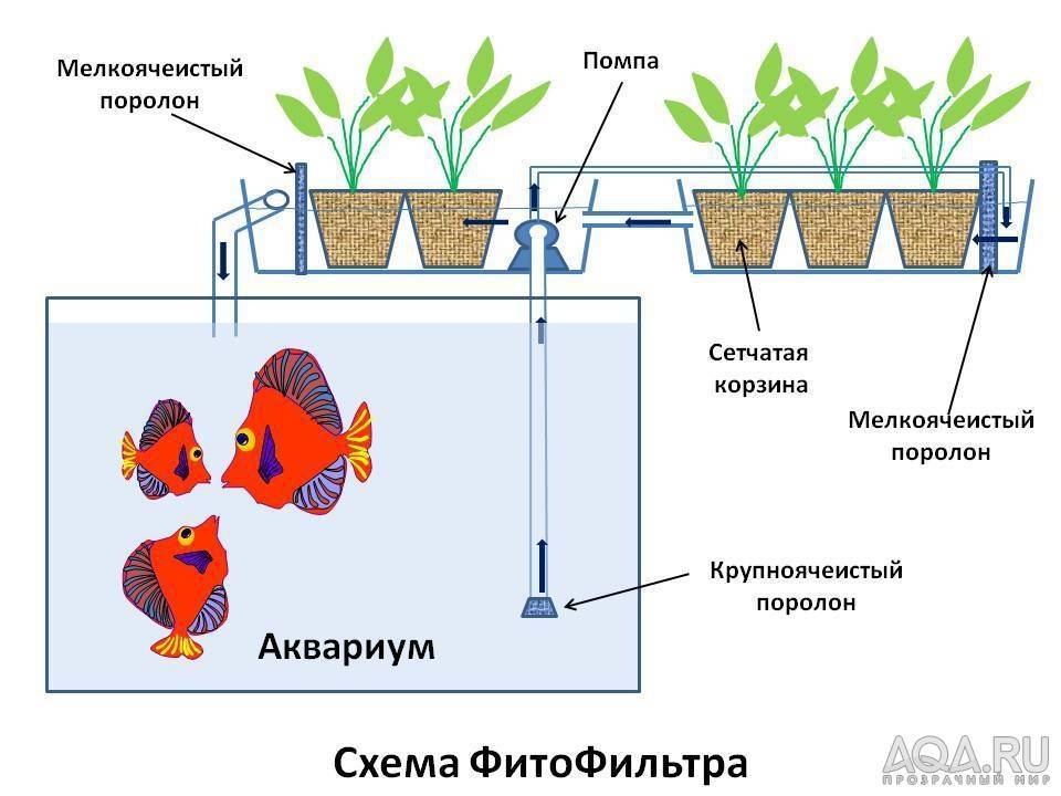 ᐉ фитофильтр для аквариума: как сделать своими руками и правильно установить, для чего необходим - kcc-zoo.ru