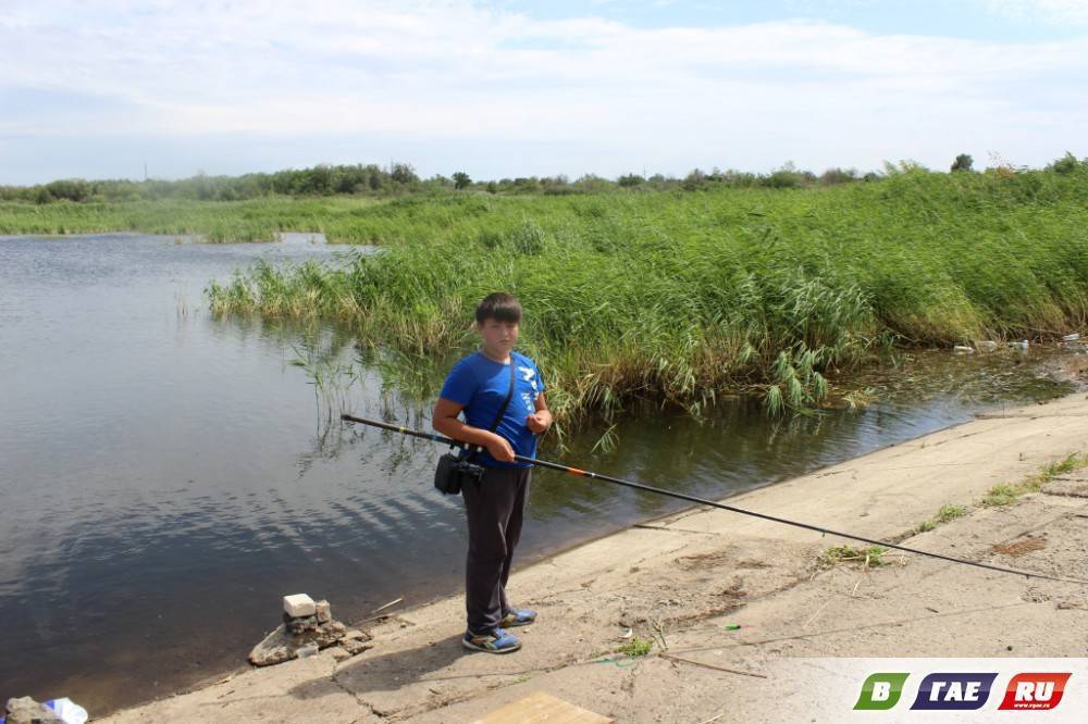 Рыбалка на маныче в ростовской области: лучшие рыболовные базы отдыха, какая рыба водится