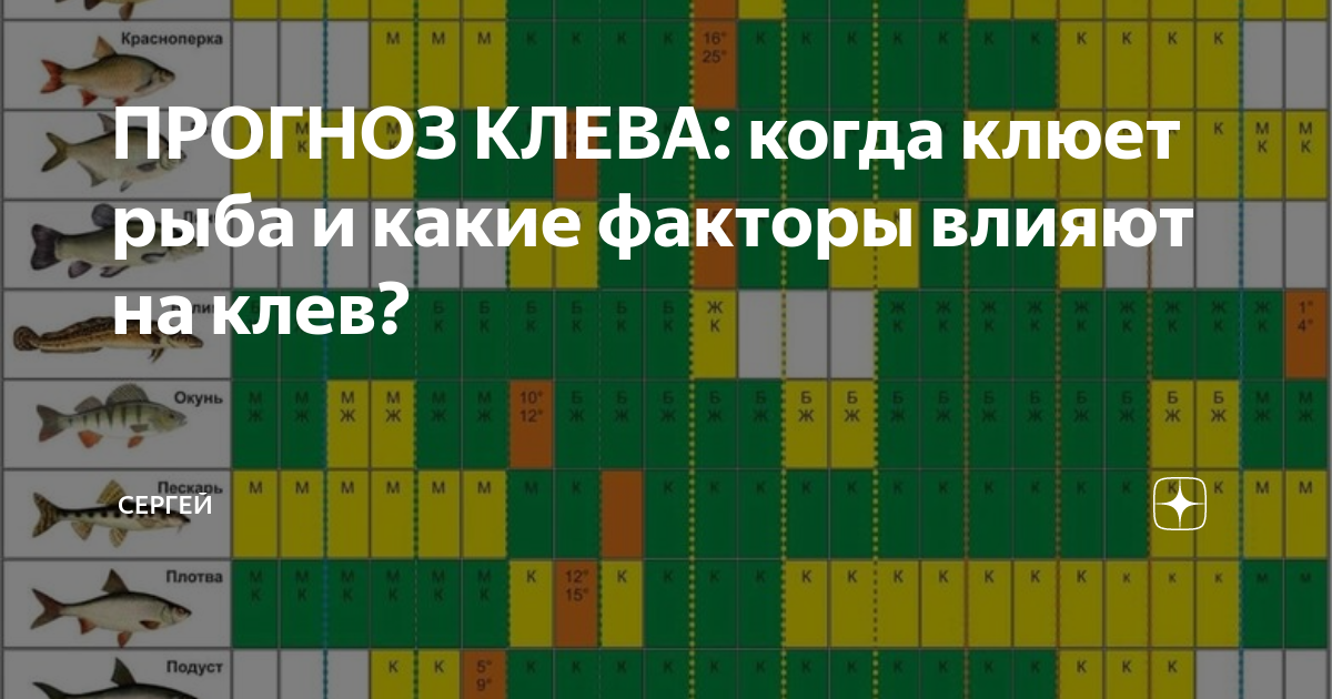 Как выбрать лучшее время для рыбалки