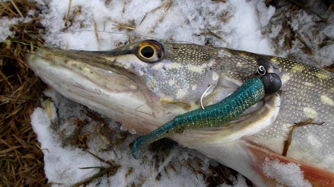 Съедобная резина для рыбалки - рейтинг самых уловистых на щуку судака и окуня