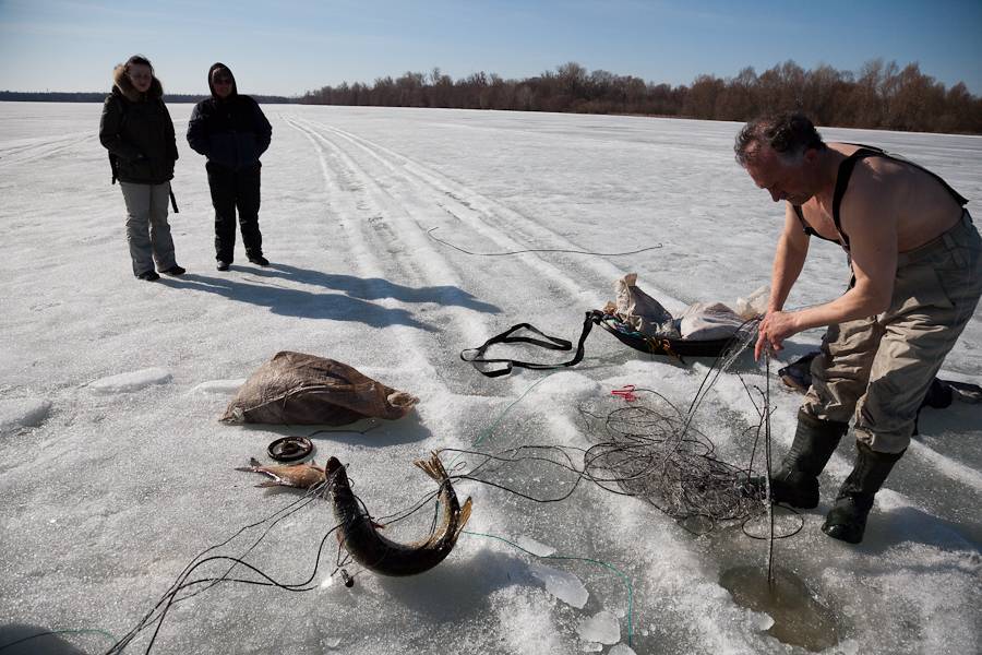 Рыбалка на припяти - видео русской рыбалки, отзывы и советы при ловле зимой