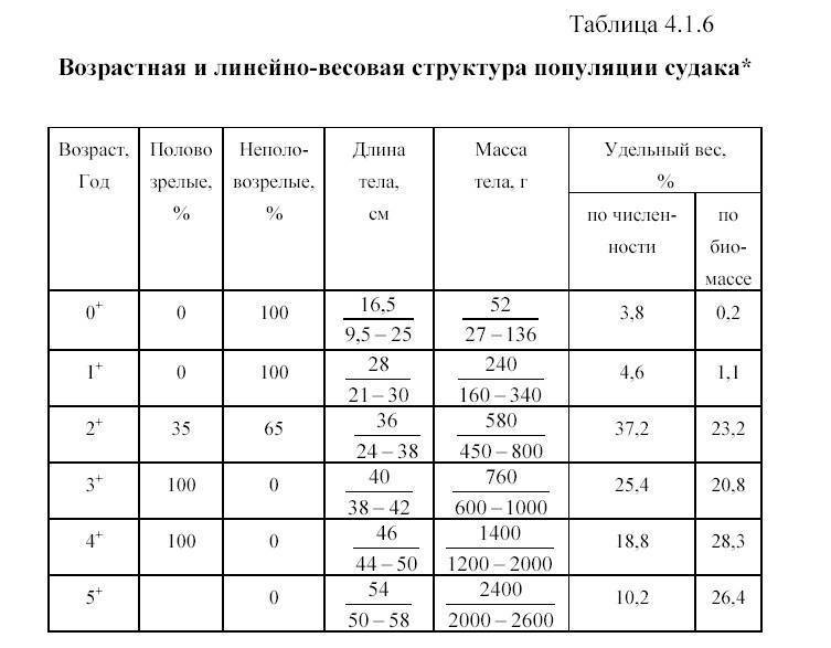 Чем питается щука: что ест, как и на кого охотится