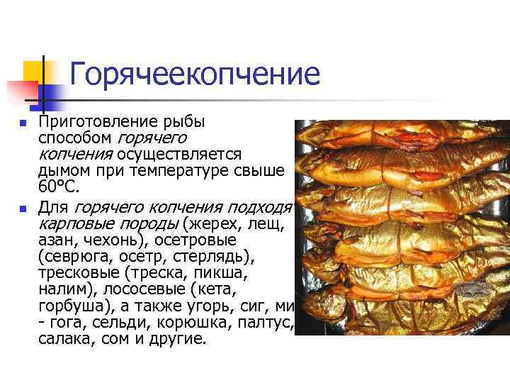 Холодное копчение рыбы, тонкости приготовления вкусного блюда