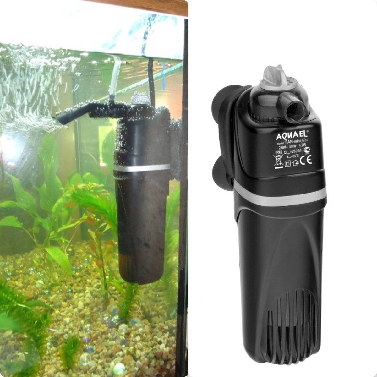 Как быстро и правильно установить фильтр для аквариума?