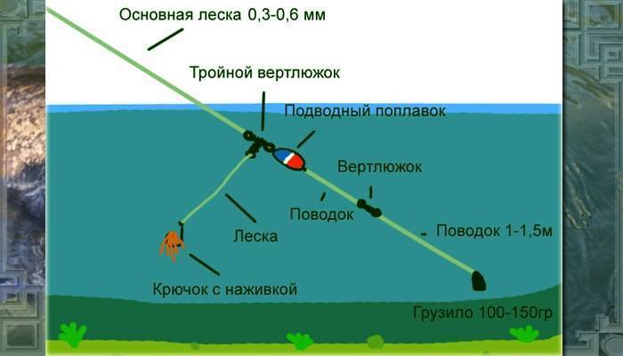 Ловля сома на спиннинг: рыбалка не для слабонервных