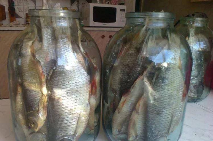 Засолка и сушка плотвы — советуют рыбаки