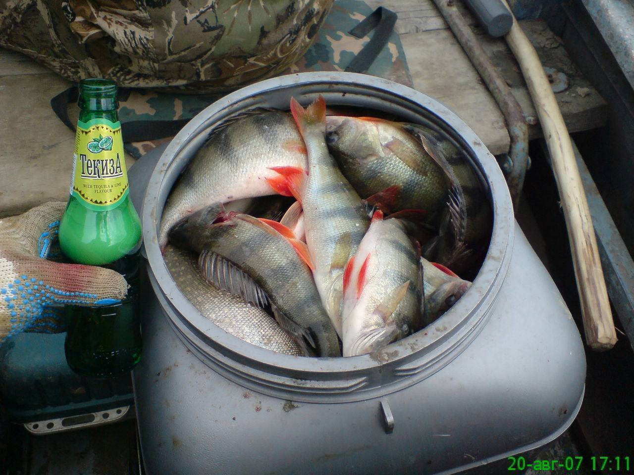 Как сохранить рыбу свежей на рыбалке - рыбалка на ахтубе с комфортом