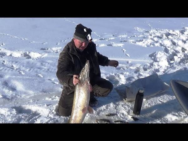 Рекорды на зимней рыбалке. топ-10 самых крупных трофеев