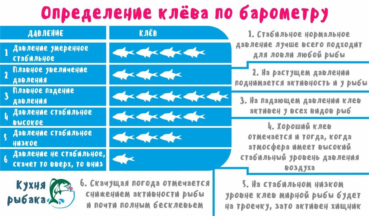 Клев рыбы и погода. Активность рыб в зависимости от погоды