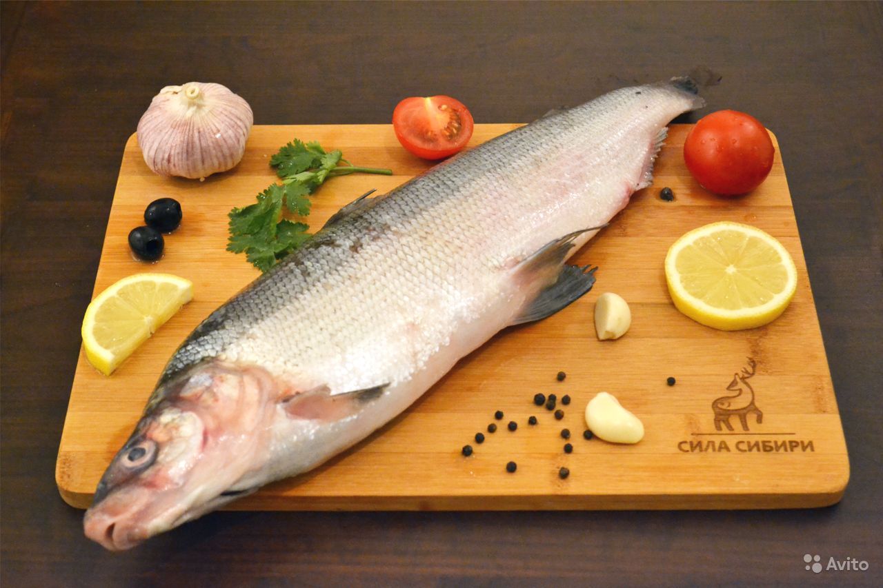 Вкусные блюда из рыбы муксун: 4 рецепта