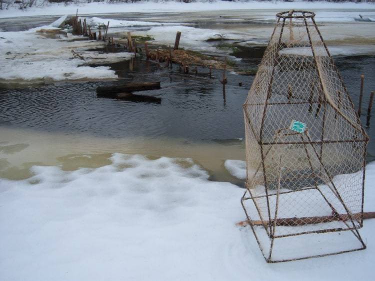 Снасти для зимней рыбалки: все необходимые принадлежности и приборы
