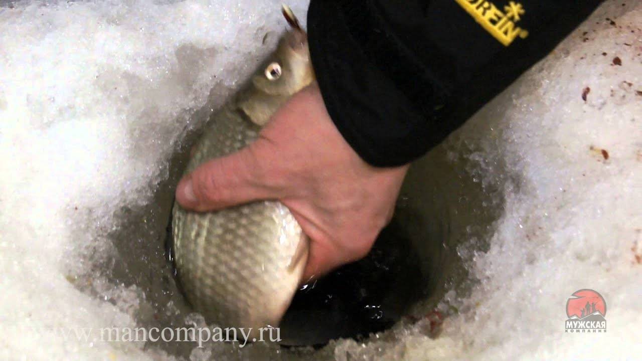 Рыбалка зимой на карася