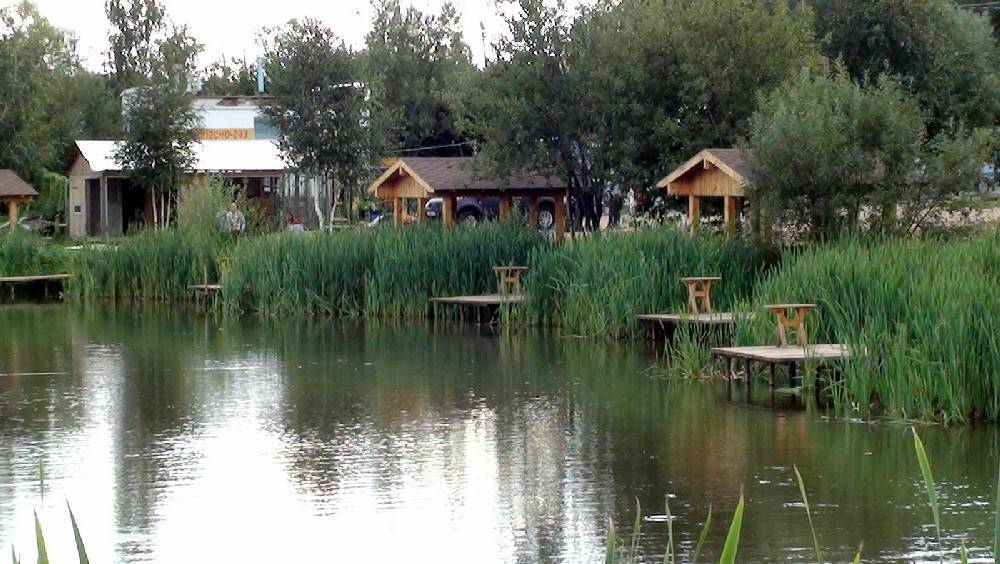 Рыбалка в юрлово (пятницкое шоссе): особенности ловли в деревне, правила и цены