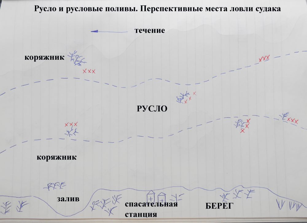 В какую погоду клюет окунь