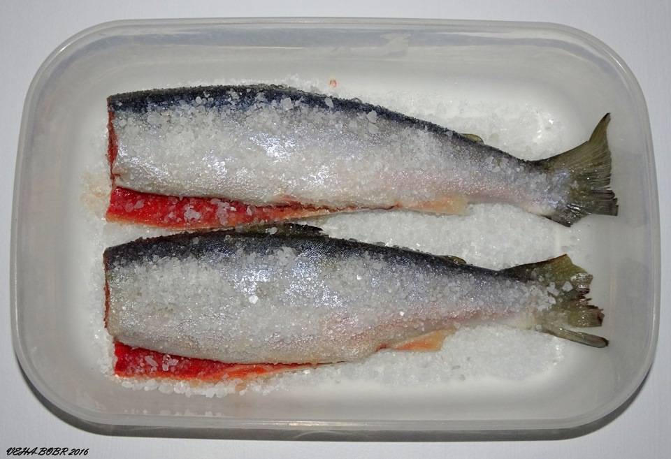 Как вымачивать соленую рыбу: способы и советы, полезная информация | кулинарный портал