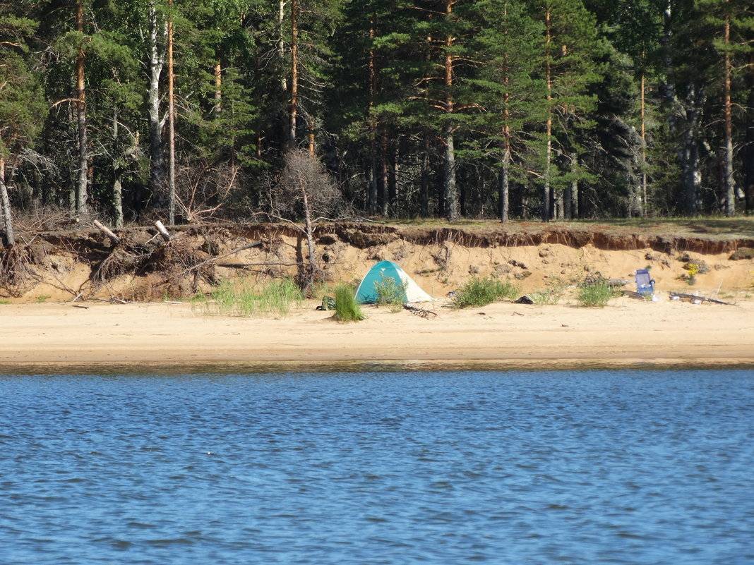 Рыбинское водохранилище кемпинг с палатками. Ларионово Рыбинское водохранилище. Весьегонск Рыбинское водохранилище. Рыбинск водохранилище пляж. Рыбинское водохранилище пляж.