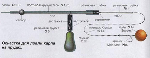 Оснастка кружков для ловли карпа схема оборудования