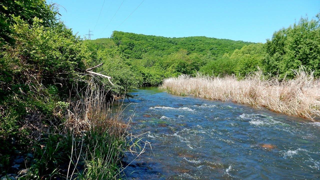 Водные ресурсы, наличие рек, озер. приморский край