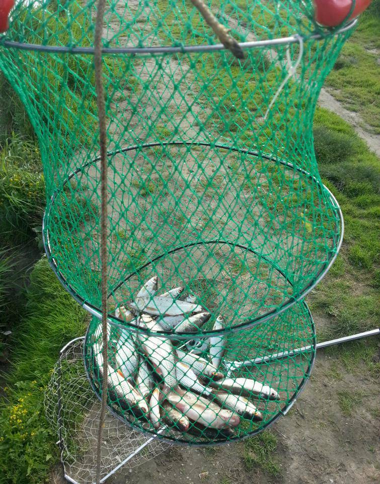 ✅ из чего сделать обруч для рыболовного садка. виды и изготовление садка для рыбы своими руками - sundaria.su