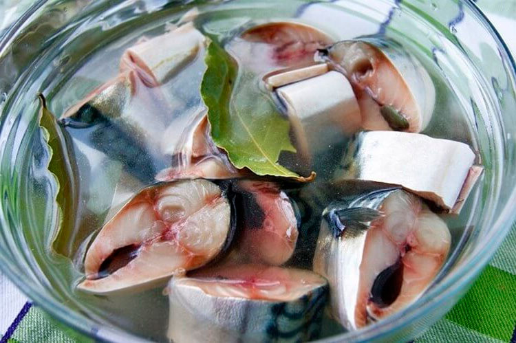 Засолка рыбы в домашних условиях: 4 способа плюс маринад. рыба и морепродукты