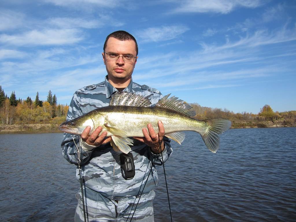 Рыбалка на хариуса в кемеровской области - все нюансы