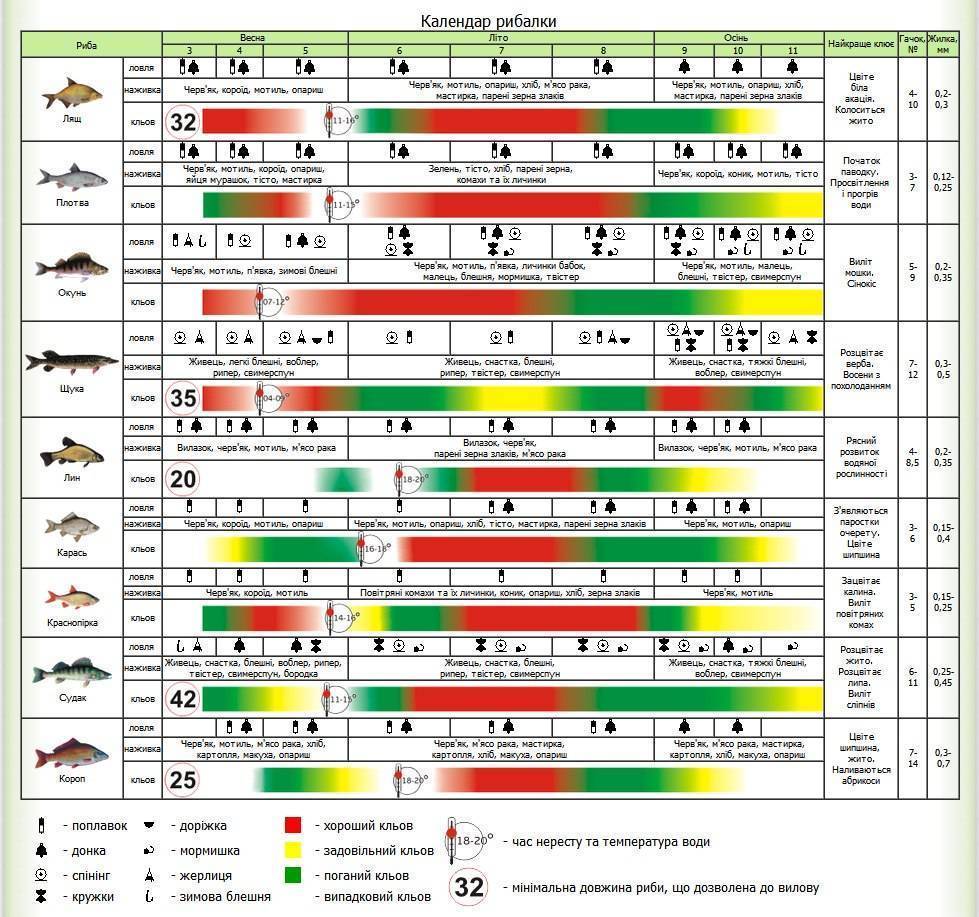 Лунный рыболовный календарь рыбака и клева рыбы на 2021 год: таблица. благоприятные и неблагоприятные дни для рыбалки и клева в 2021 году по лунному календарю