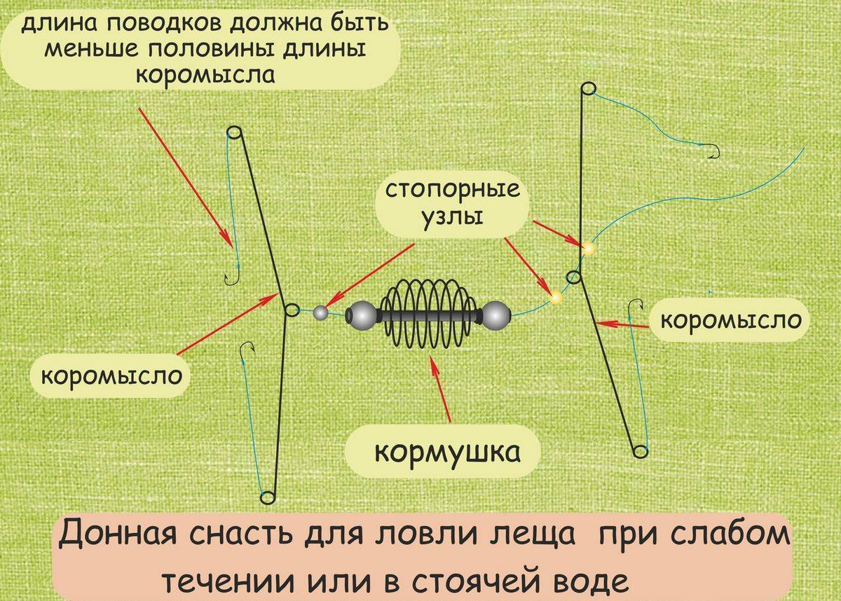 Ловля леща: поиск, приманки, прикормка, способы, советы