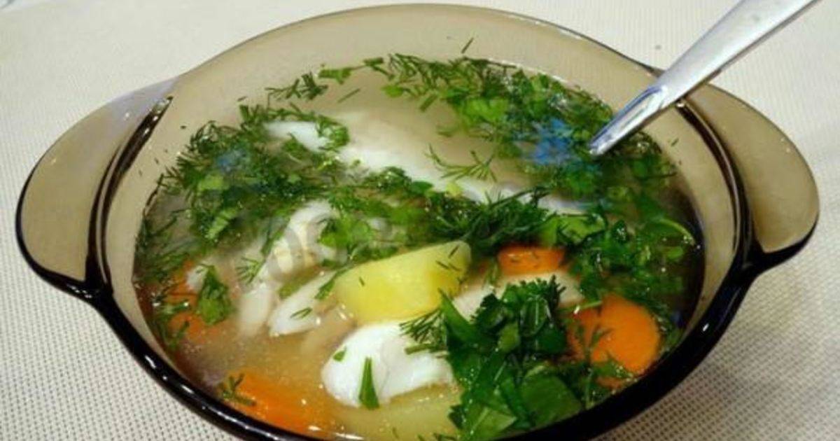 Уха из головы судака: рецепт приготовления вкусного супа