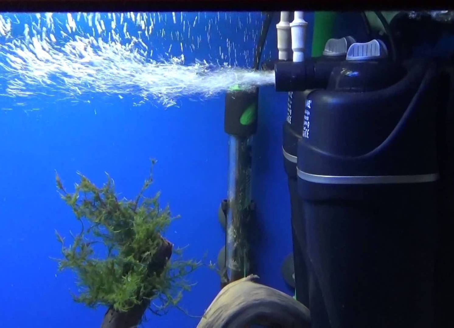 Самодельный фильтр для аквариума: внешний (наружный) и внутренний, пошаговая инструкция, которая расскажет, как сделать такую систему самому в домашних условиях