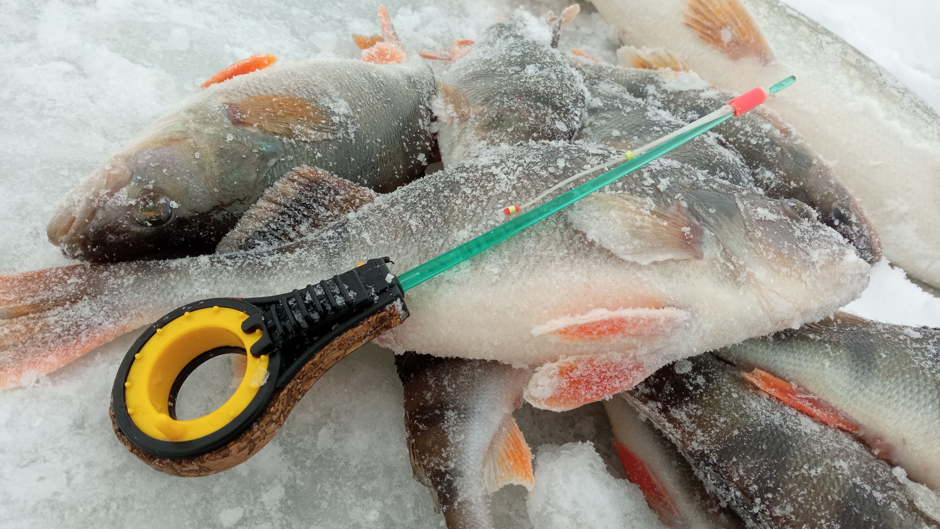 Зимняя рыбалка на жерлицы — особенности тактики и техники
