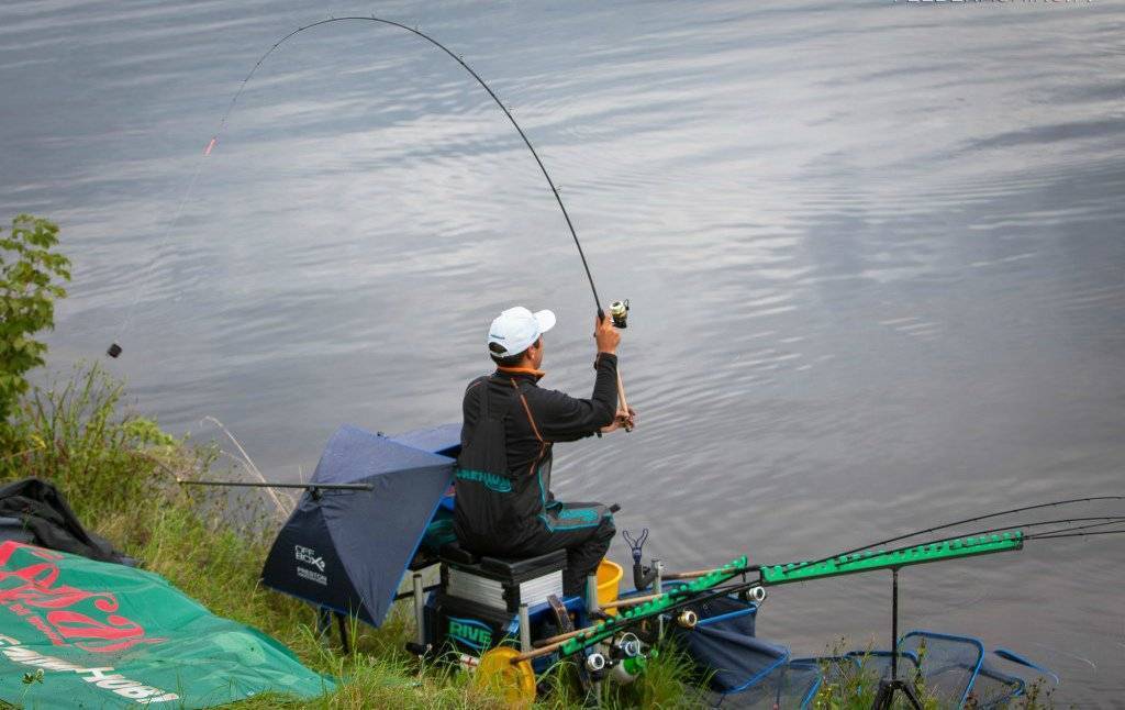 15 лучших рыболовных мест смоленской области. бесплатные и платные
