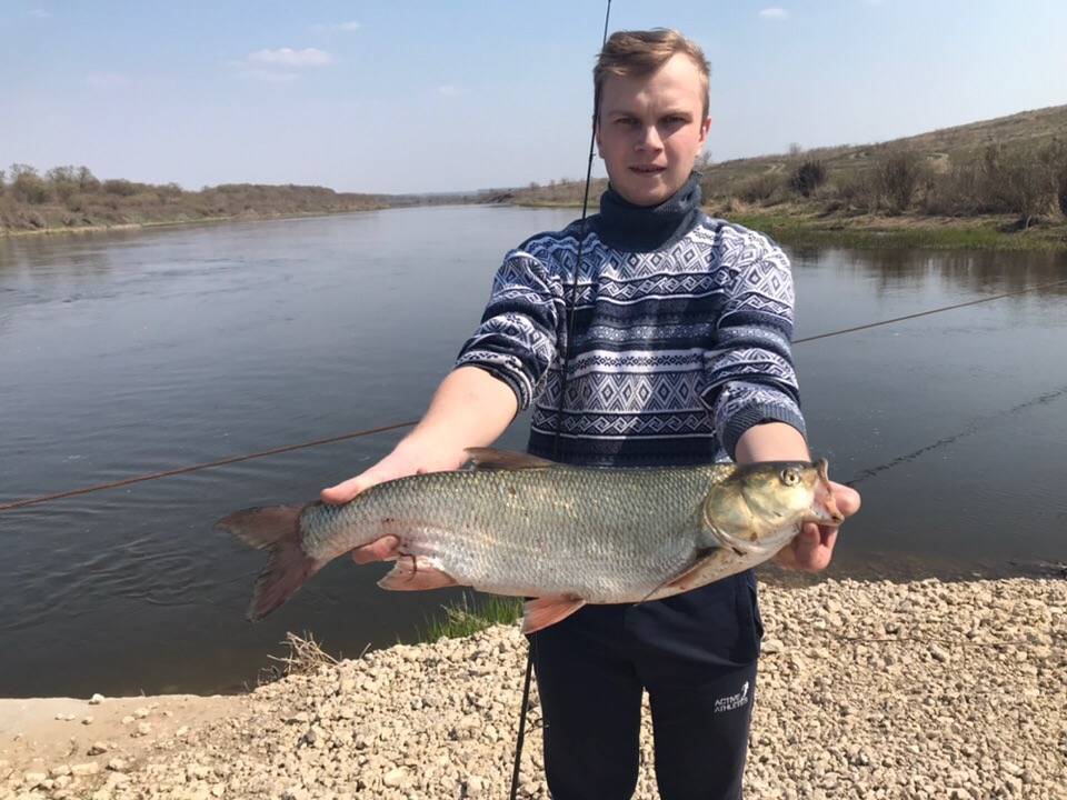 Рыбалка на реке воронеж в липецкой области