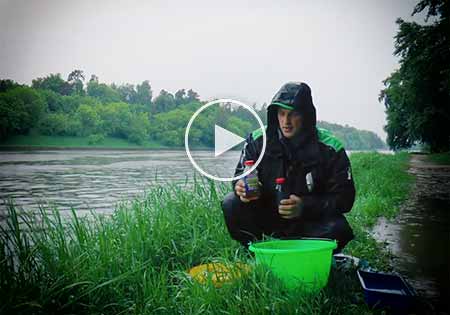 Клюёт ли карась в дождь (перед и после): как ловится рыба в пасмурную погоду