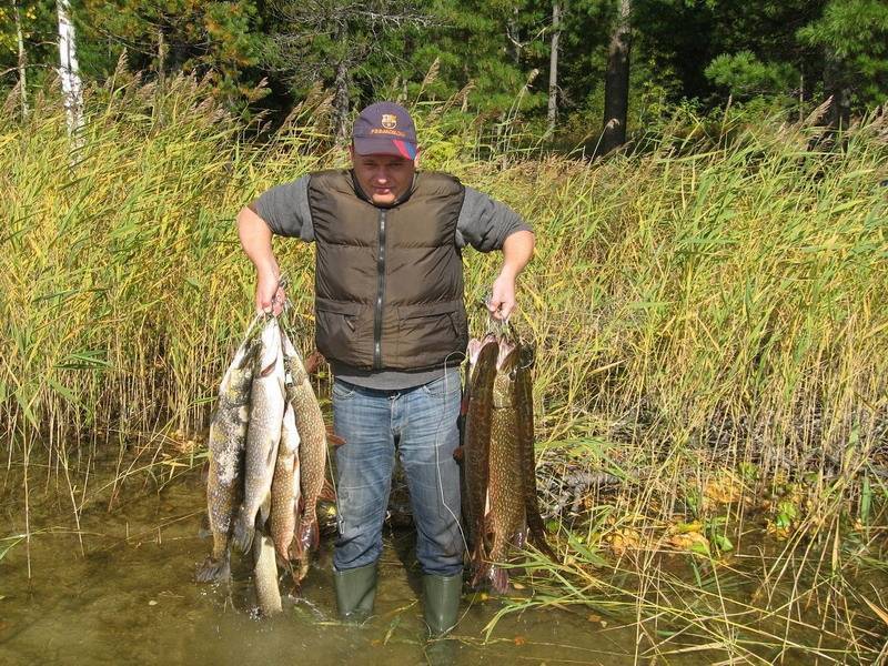 Рыбалка в карагандинской области: новости с водоемов