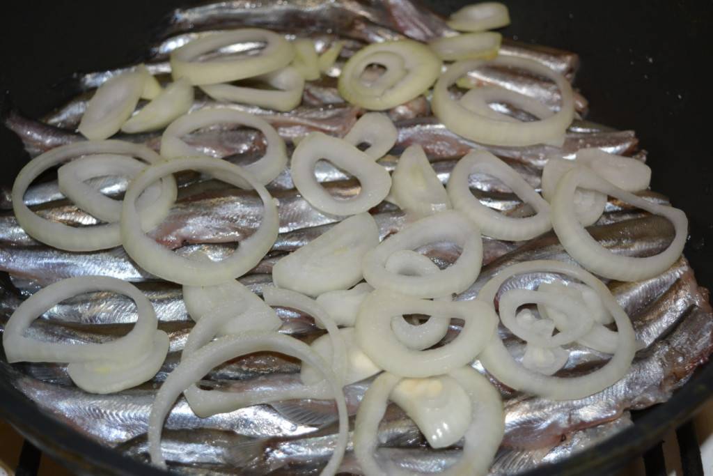 Рыба рипус — описание, среда обитания, особенности и интересные факты. рецепты приготовления рыбы рипус