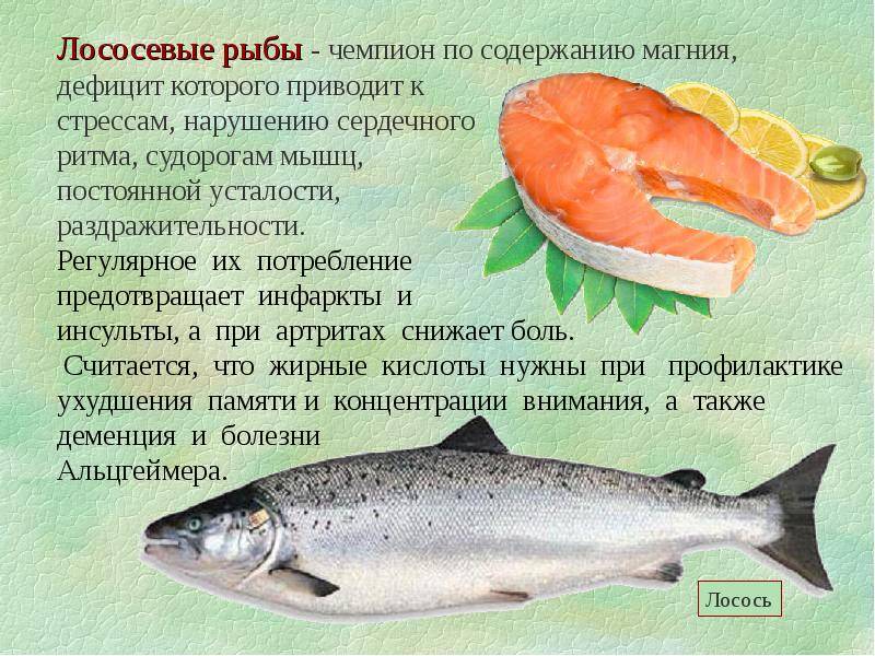 Рыба путассу: характеристика, польза и вред, рецепты приготовления