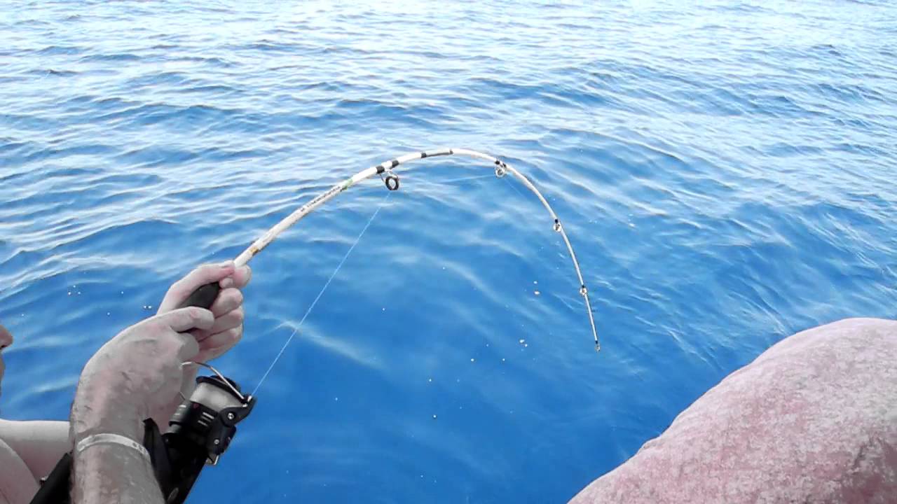 Ловить рыбу в море