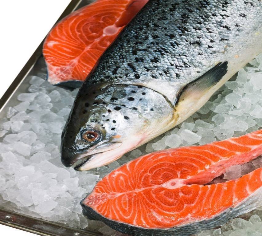 Форель или сёмга: что лучше, вкуснее, жирнее, дороже, чем они отличаются