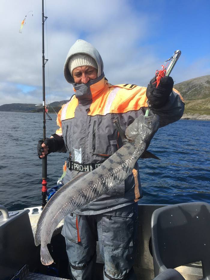Снасти для морской рыбалки в норвегии