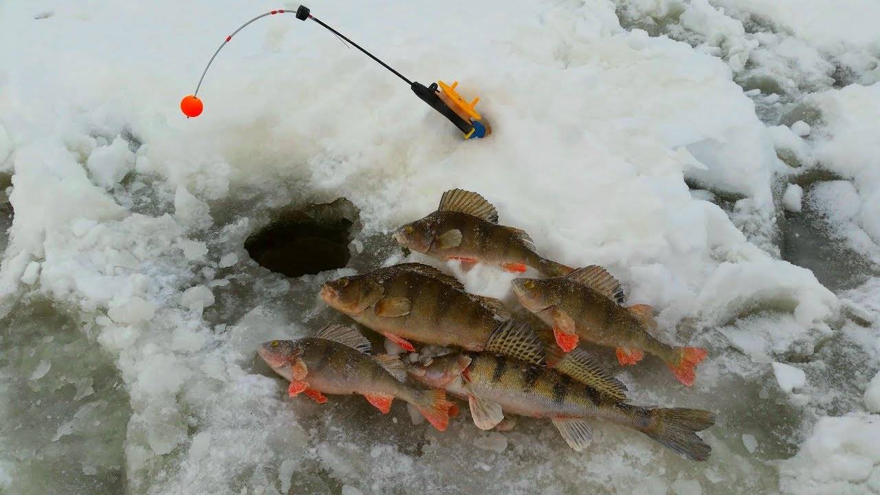 Чебоксарское водохранилище