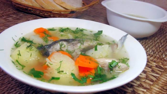 Уха рецепты приготовления ? как приготовить дома суп из речной рыбы