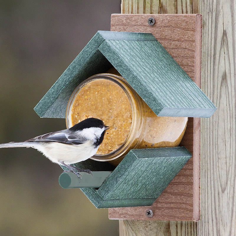Кормушка для птиц – 125 фото простых и красивых идей создания своими руками