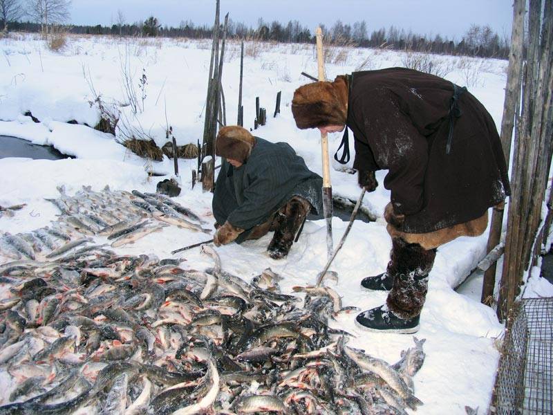 Туризм и рыбалка на севере в нетронутой тундре