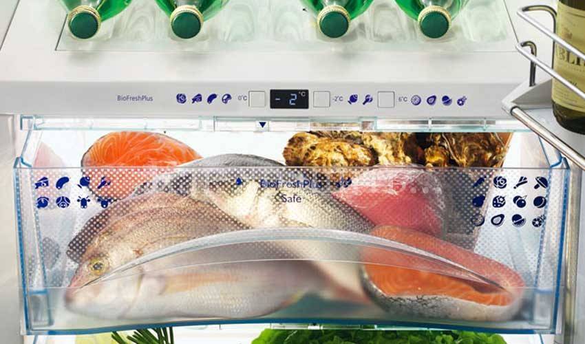 Как сохранить рыбу в жару без холодильника: лучшие способы