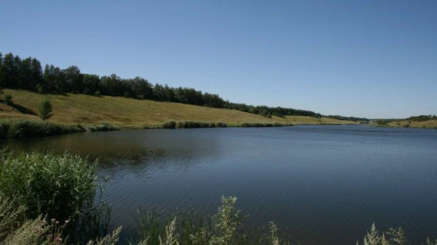 Никольском белгород. Северский Донец Белгород водохранилище. Донецкая Сеймица река Белгородская область. Никольское пруд Белгород. Пруд Никольское Белгородская область.