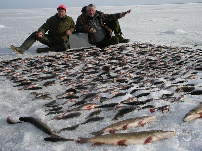 Рыбалка в татарстане: зимняя и летняя. весенняя ловля щуки на спиннинг где можно рыбачить в татарии