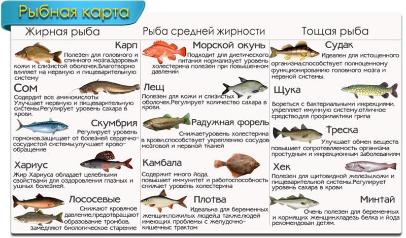 Список нежирных сортов рыбы: таблица калорийности, рецепты диетических блюд